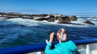 Rundreise Südafrika - Robbeninsel bei Hout Bay