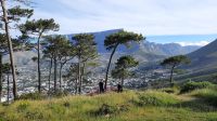 Rundreise Südafrika - Blick zum Tafelberg vom Signal Hill