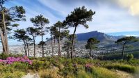 Rundreise Südafrika - Blick zum Tafelberg vom Signal Hill in Kapstadt