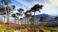 Rundreise Südafrika - Blick zum Tafelberg vom Signal Hill in Kapstadt