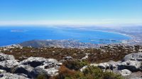 Rundreise Südafrika - Rundgang auf dem Tafelberg in Kapstadt