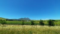 Rundreise Südafrika - Fahrt in die Weinregion um Kapstadt und Stellenbosch