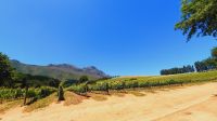 Rundreise Südafrika - Fahrt in die Weinregion um Kapstadt und Stellenbosch