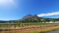 Rundreise Südafrika - Weinroute um Stellenbosch