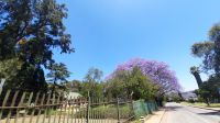 Rundreise Südafrika - blühende Jacarandas in Pretoria