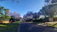 Rundreise Südafrika - blühende Jacarandas in Pretoria