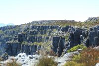 Rundreise Südafrika - Rundgang auf dem Tafelberg in Kapstadt