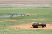 Rundreise Südafrika - Pause mit Tierbeobachtungen