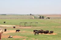 Rundreise Südafrika - Pause mit Tierbeobachtungen