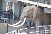 Rundreise Südafrika - Pause mit Tierbeobachtungen