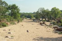 Rundreise Südafrika - ausgetrockneter Fluss im Krüger-Nationalpark