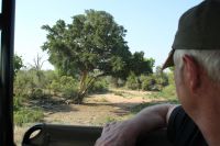 Rundreise Südafrika - Krüger-Nationalpark