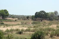 IMRundreise Südafrika - Krüger-Nationalpark