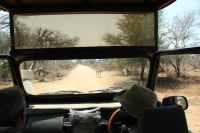 Rundreise Südafrika - Krüger-Nationalpark