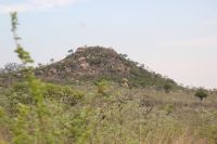 Rundreise Südafrika - Krüger-Nationalpark