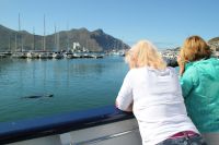 Rundreise Südafrika - Hout Bay