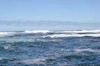 Rundreise Südafrika - Robbeninsel bei Hout Bay