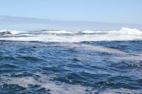 Rundreise Südafrika - Robbeninsel bei Hout Bay