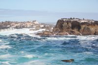 Rundreise Südafrika - Robbeninsel bei Hout Bay