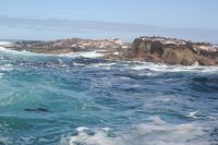 Rundreise Südafrika - Robbeninsel bei Hout Bay