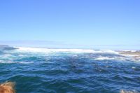 Rundreise Südafrika - Robbeninsel bei Hout Bay