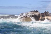 Rundreise Südafrika - Robbeninsel bei Hout Bay