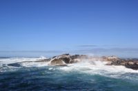 Rundreise Südafrika - Robbeninsel bei Hout Bay