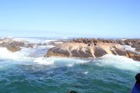 Rundreise Südafrika - Robbeninsel bei Hout Bay