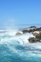 Rundreise Südafrika - Robbeninsel bei Hout Bay