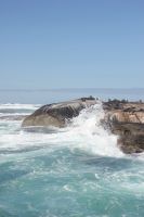 Rundreise Südafrika - Robbeninsel bei Hout Bay