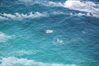 Rundreise Südafrika - spielender Wal am Kap der Guten Hoffnung