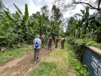 Rundgang auf einer Kaffeeplantage