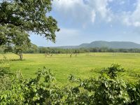 Unsere erste Safari im Arusha Nationalpark