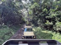 Unsere erste Safari im Arusha Nationalpark