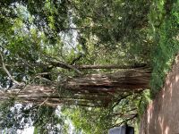 Unsere erste Safari im Arusha Nationalpark