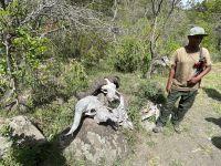 Unsere erste Safari im Arusha Nationalpark