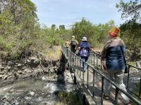 Unsere erste Safari im Arusha Nationalpark