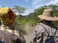 Unsere erste Safari im Arusha Nationalpark
