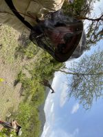 Unsere erste Safari im Arusha Nationalpark