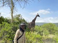 Unsere erste Safari im Arusha Nationalpark