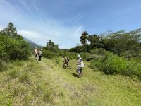 Unsere erste Safari im Arusha Nationalpark