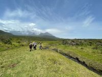 Unsere erste Safari im Arusha Nationalpark