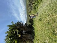 Arusha Nationalpark am Fuße des Mt. Meru