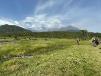 Arusha Nationalpark am Fuße des Mt. Meru