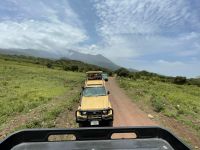 Safari im Arusha Nationalpark 