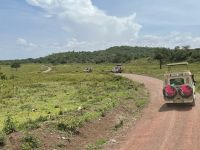Safari im Arusha Nationalpark 