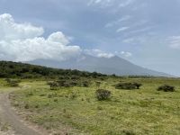 Safari im Arusha Nationalpark 