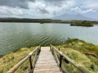 Mittagspause im Arusha Nationalpark 