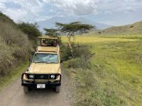 Safari im Arusha Nationalpark 