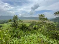 Safari im Arusha Nationalpark - Am Ngurdoto Krater